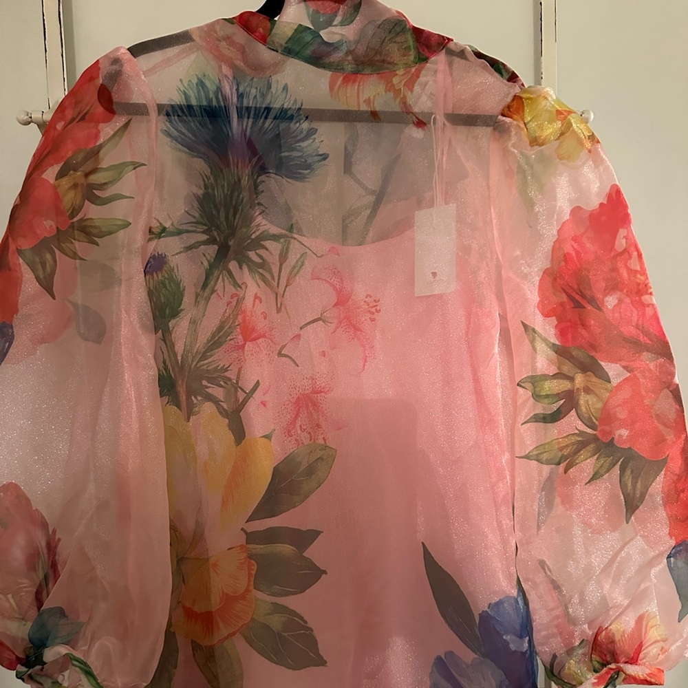 L'ATISTE Pink Sheer Floral Puff-Sleeve Dress with Multicolor Blooms